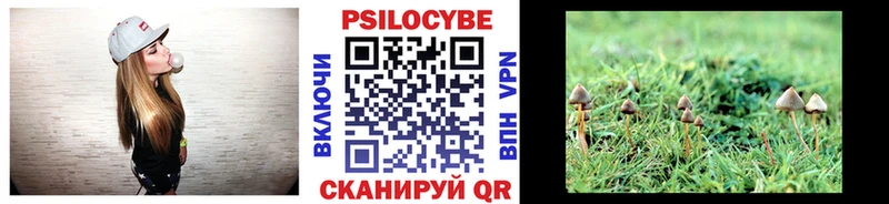 купить закладку  Верхний Тагил  Галлюциногенные грибы мухоморы 